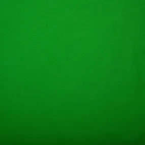Knit - LACOSTE - Green